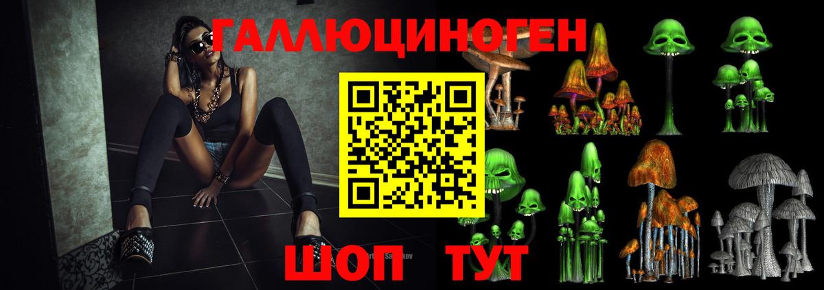 Псилоцибиновые грибы Psilocybe Майкоп